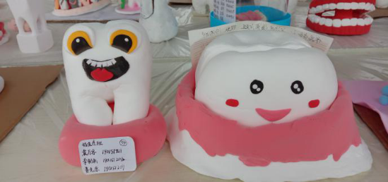 部分同学制作的牙齿模型